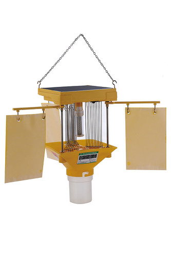 Solar greenhouse flying insect killer lamp